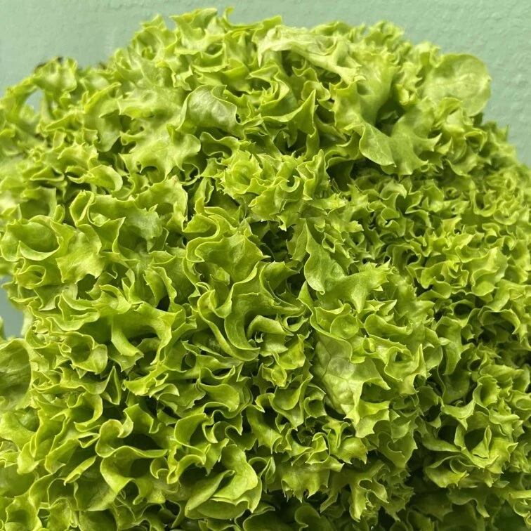 Green Market — це великий вибір свіжих продуктів
