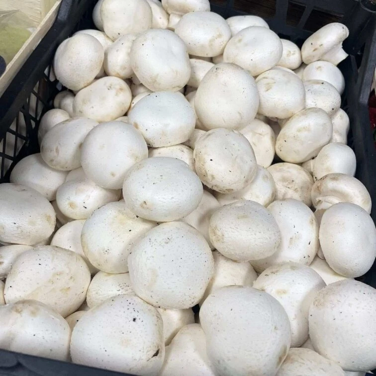 Green Market — це великий вибір свіжих продуктів