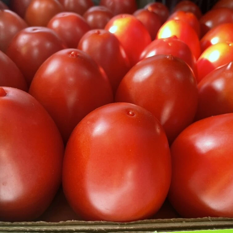 Green Market — це великий вибір свіжих продуктів