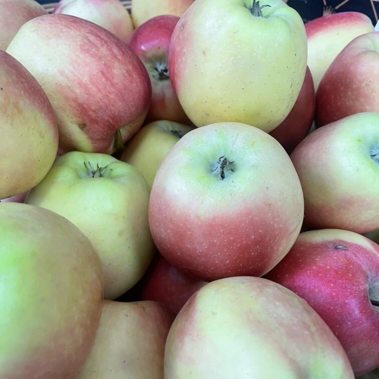 Green Market — це великий вибір свіжих продуктів