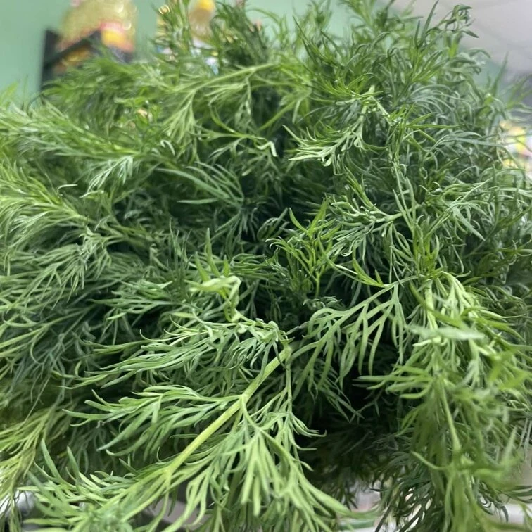 Green Market — це великий вибір свіжих продуктів