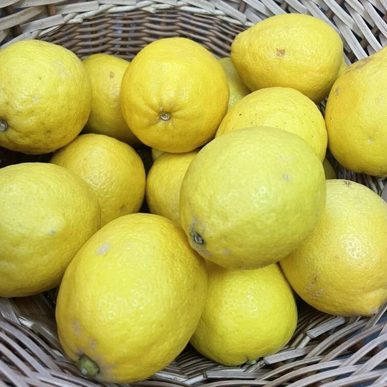 Green Market — це великий вибір свіжих продуктів