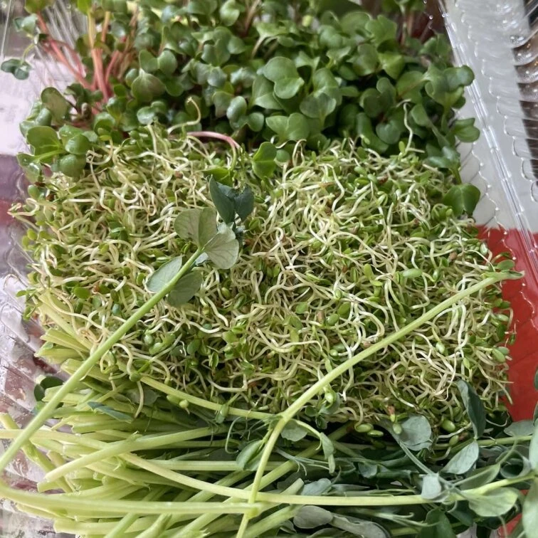 Green Market — це великий вибір свіжих продуктів