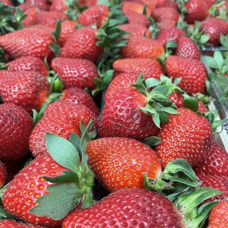 Green Market — це великий вибір свіжих продуктів