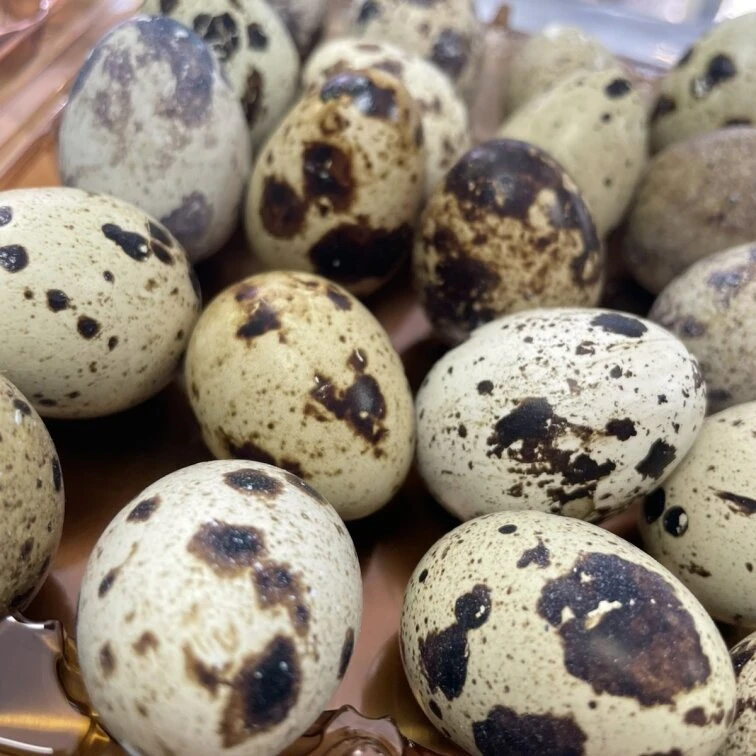 Green Market — це великий вибір свіжих продуктів